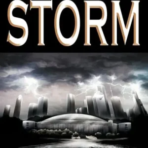 After the Storm: A David Storm Mystery Instant Buy