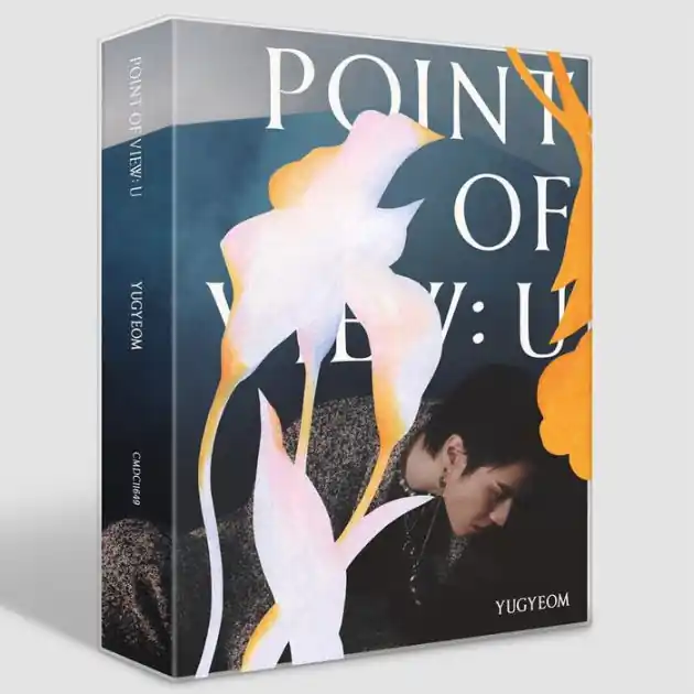 Point of View: U Factory Price