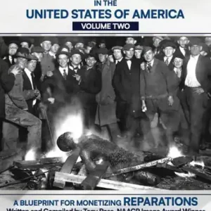 African American History in the United States of America (Volume Two): A Blueprint for Monetizing Reparations Limited Edition