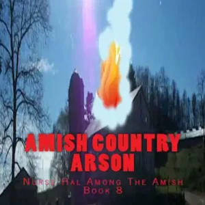 Secure Checkout Amish Country Arson