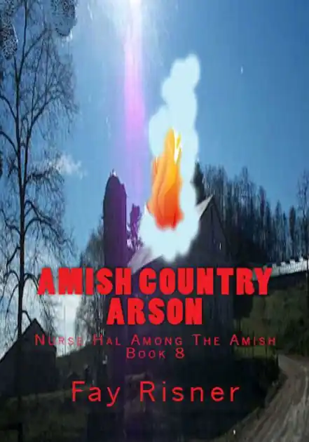 Secure Checkout Amish Country Arson