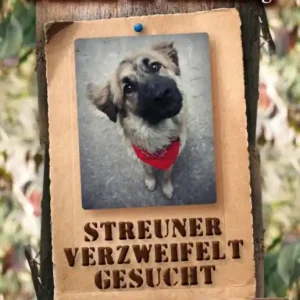 Hot Deal Streuner verzweifelt gesucht: Eine prikelnde Kurzgeschichte