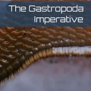 Original The Gastropoda Imperative