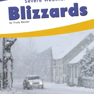 Blizzards Grab Now