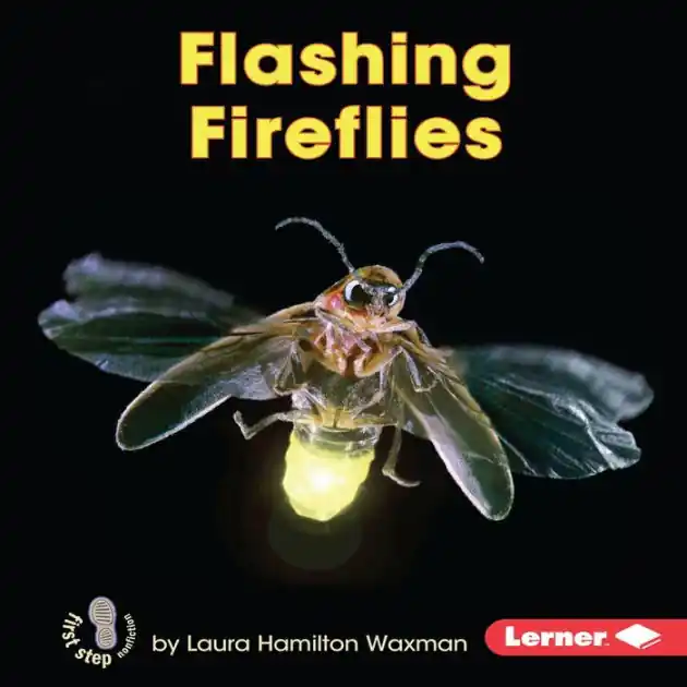Flashing Fireflies Clearance