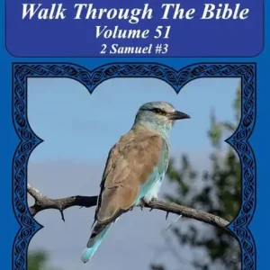 Bible Word Search Walk Through The Bible Volume 51: 2 Samuel #3 Extra Large Print Exclusive Offer