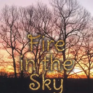 Fire in the Sky Brand New