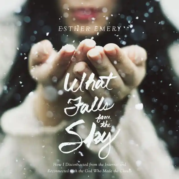 What Falls from the Sky: How I Disconnected from the Internet and Reconnected with the God Who Made the Clouds Limited Time