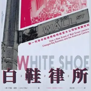 Flash Sale 白鞋律所：新一代华尔街律师如何改变大公司和美国世纪