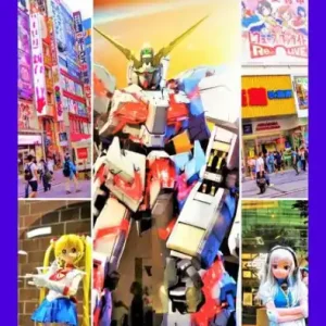 Direct From Manufacturer Tóquio Para Geeks: Manga, Anime, Cosplay, Toys