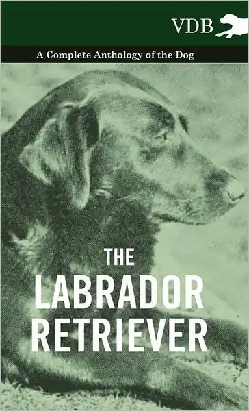 Top Rated The Labrador Retriever - A Complete Anthology of the Dog