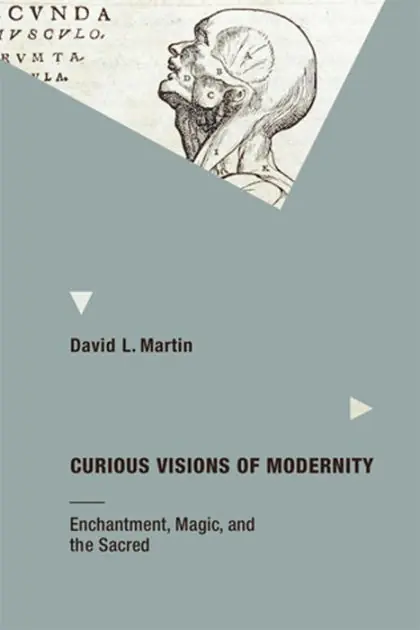 Factory Price Curious Visions of Modernity: Enchantment, Magic, and the Sacred