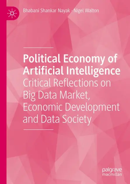 Political Economy of Artificial Intelligence: Critical Reflections on Big Data Market, Economic Development and Data Society Warranty Included