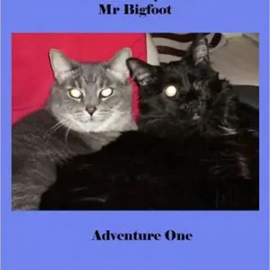 Modern Adventures of Sami One-Eye and Mr Bigfoot