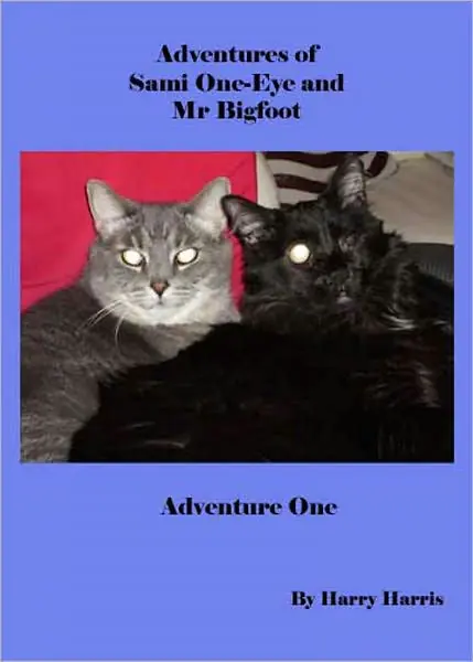 Modern Adventures of Sami One-Eye and Mr Bigfoot