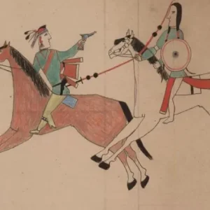 Bulk Order The Cheyenne in Plains Indian Trade Relations, 1795-1840