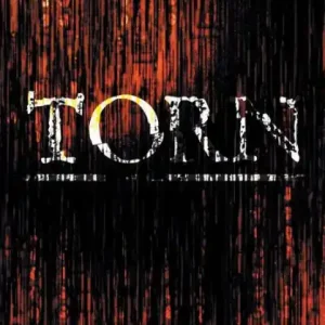 Get Yours Torn