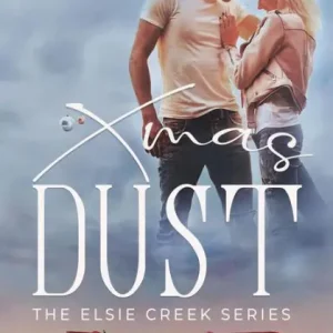 Xmas Dust Direct From Factory