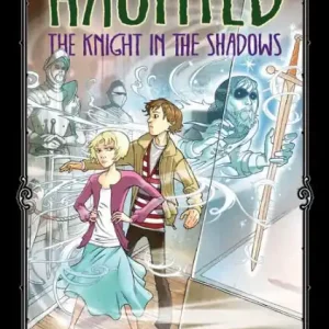 The Knight in the Shadows Limited Offer