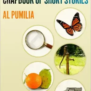 Your Travel Companion, Chapbook of Short Stories Next Day Delivery