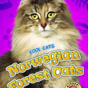 Save Now Norwegian Forest Cats