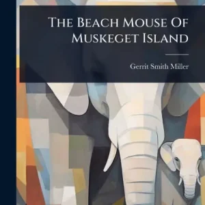 Hot Deal The Beach Mouse Of Muskeget Island