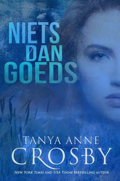 Bargain Niets dan goeds (Oyster Point Mystery, #1)
